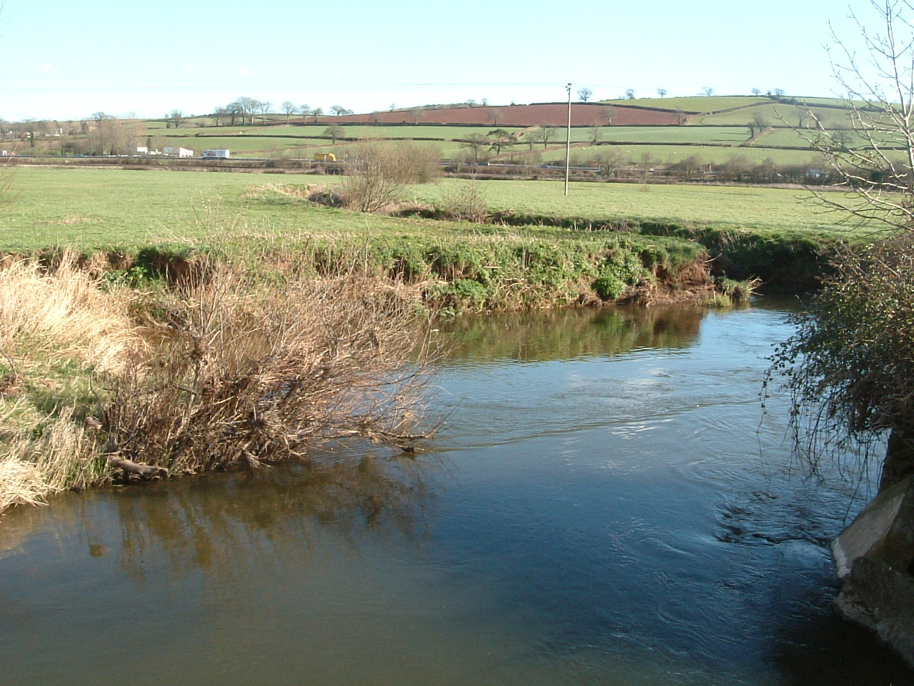 Eroded river bank