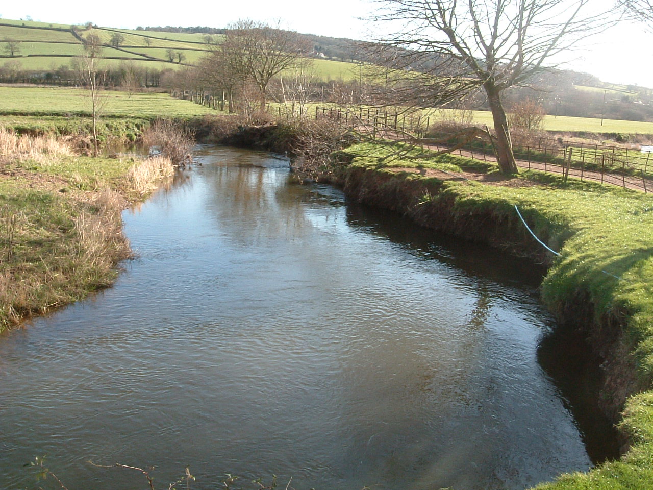 Eroded riverbank