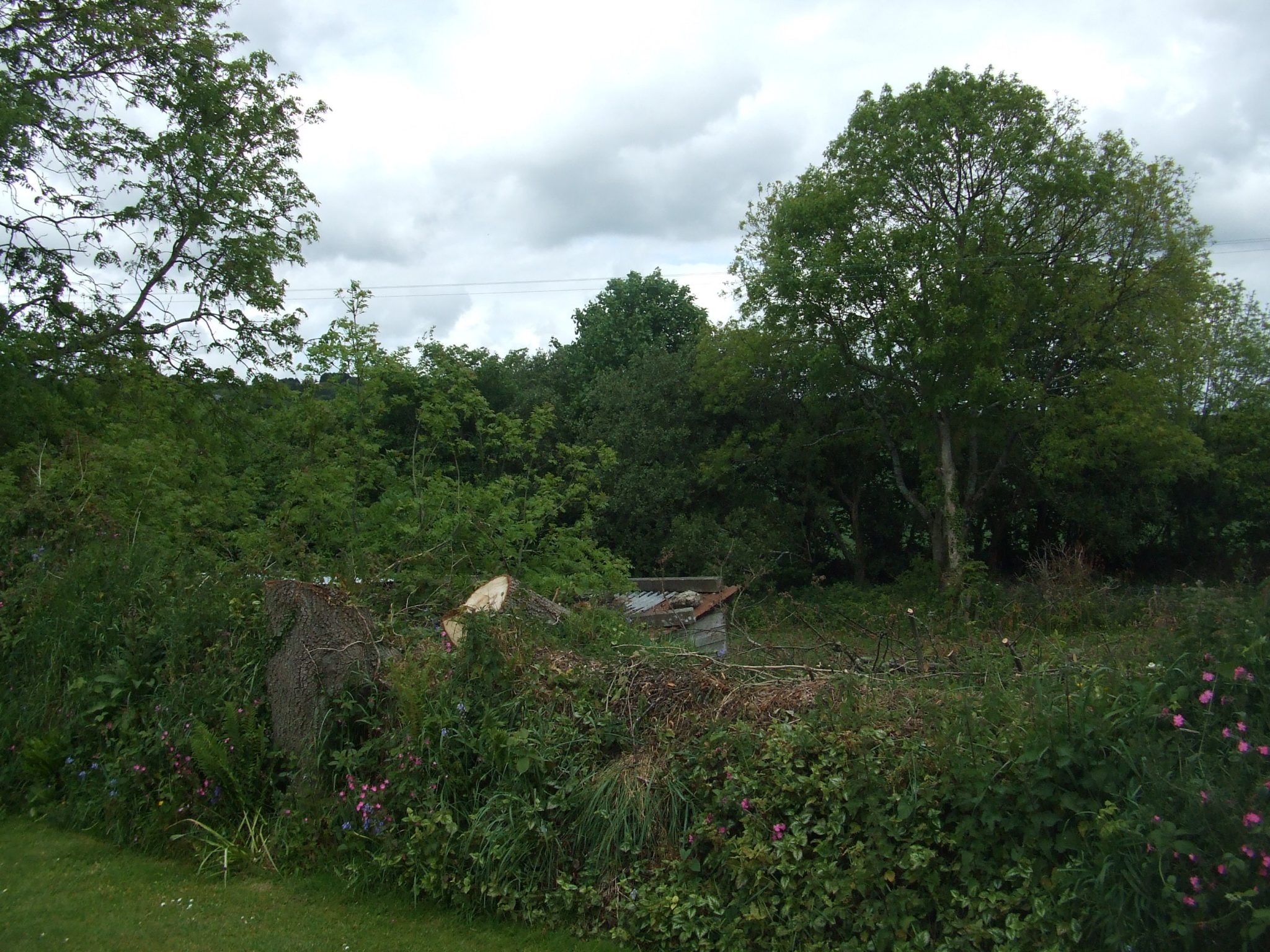 Proposed site entrance