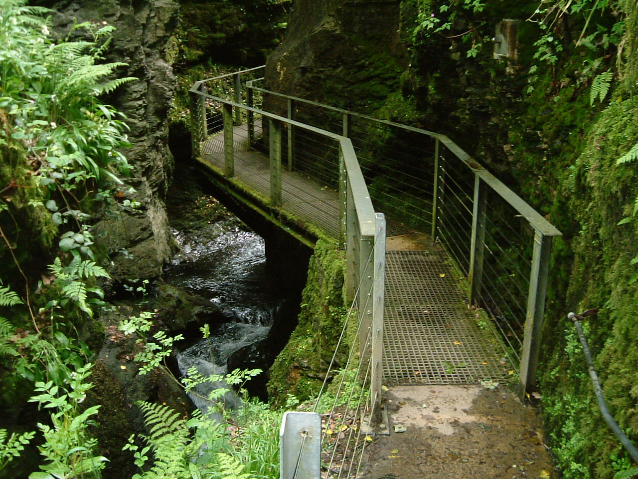 Bridges and Walkways