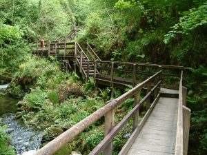 Bridges and Walkways