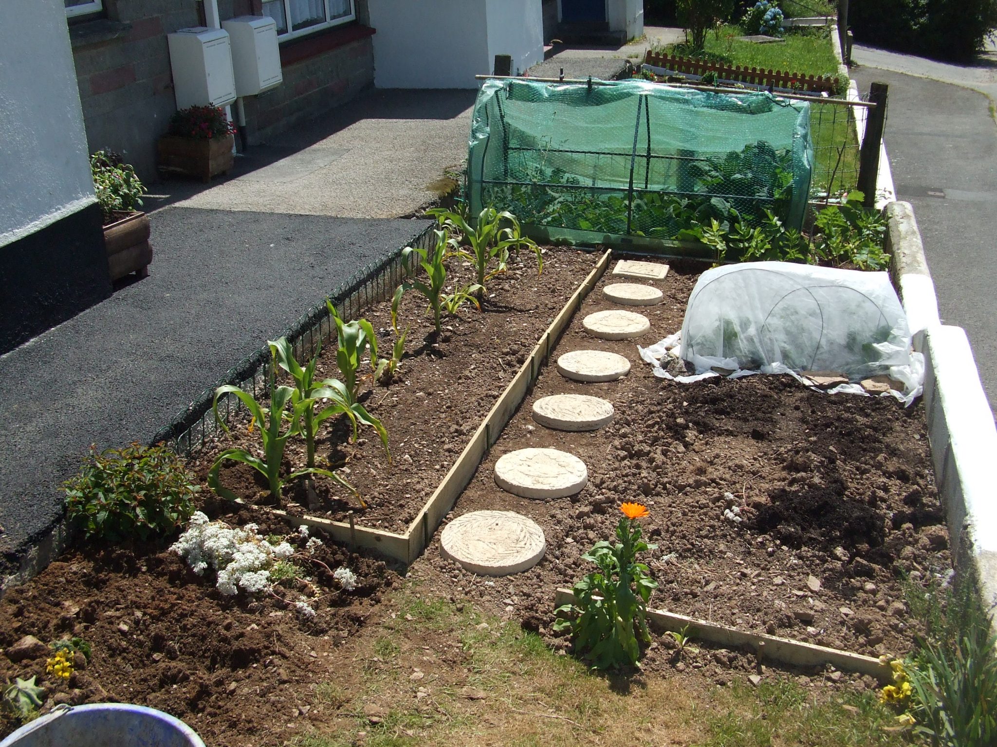 Completed garden